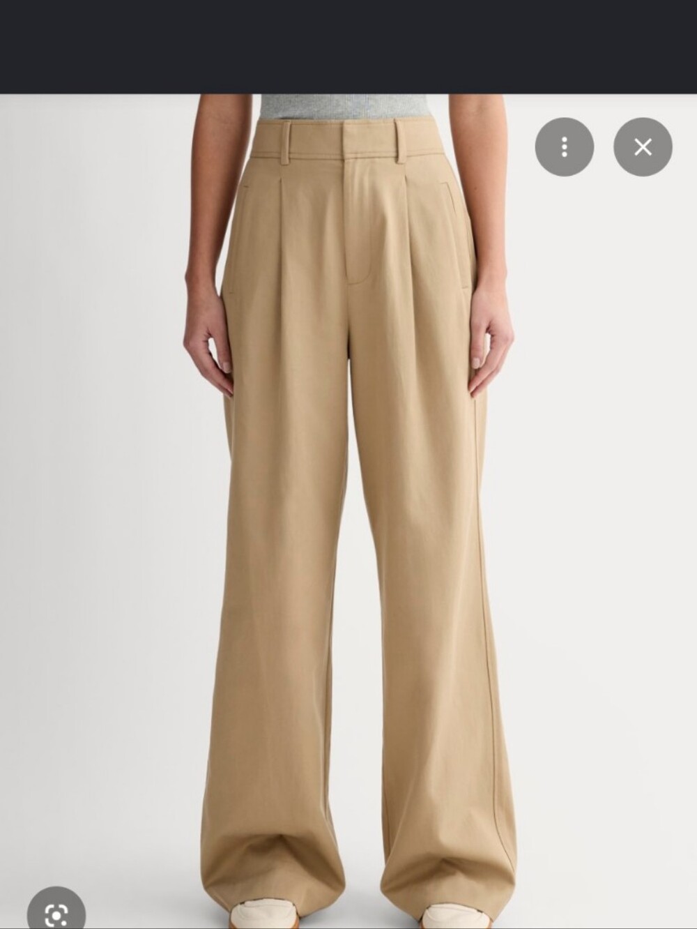 Everlane The Draper Pleated Wide Leg Pants Short Length 29.5" Inseam